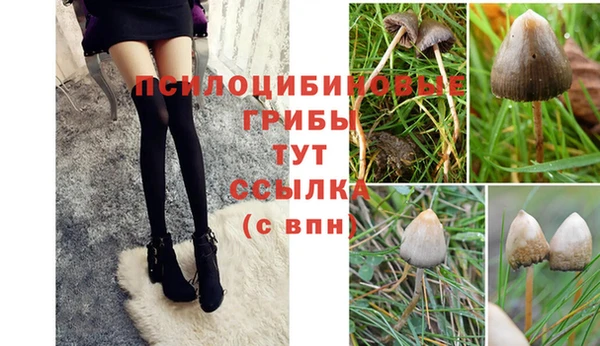 прущая мука Магас