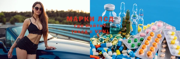 стаф Майский