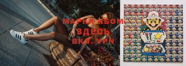 стаф Майский
