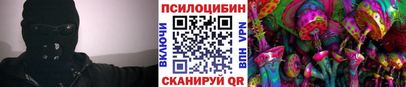 Псилоцибиновые грибы Cubensis  Липецк 